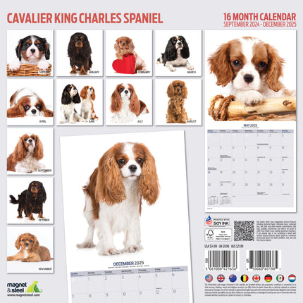 Magnet & Steel Cavalier King Charles Spaniel Kalender 2025 Modern