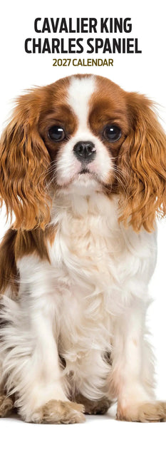 Magnet & Steel Cavalier King Charles Spaniel Kalender 2027 Slimline