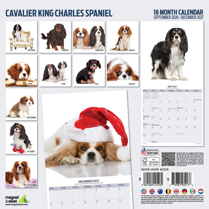 Magnet & Steel Cavalier King Charles Spaniel Modern Kalender 2027