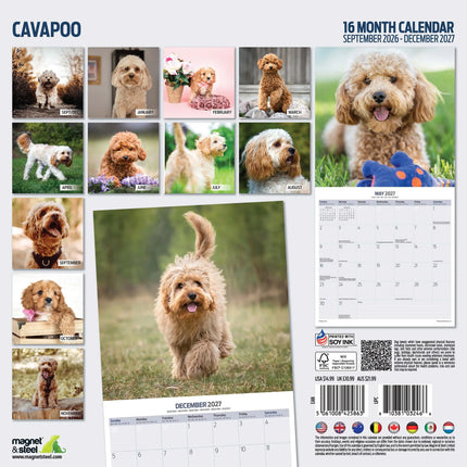 Magnet & Steel Cavapoo Kalender 2026