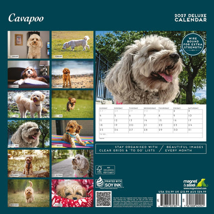 Magnet & Steel Cavapoo Kalender 2026 Deluxe
