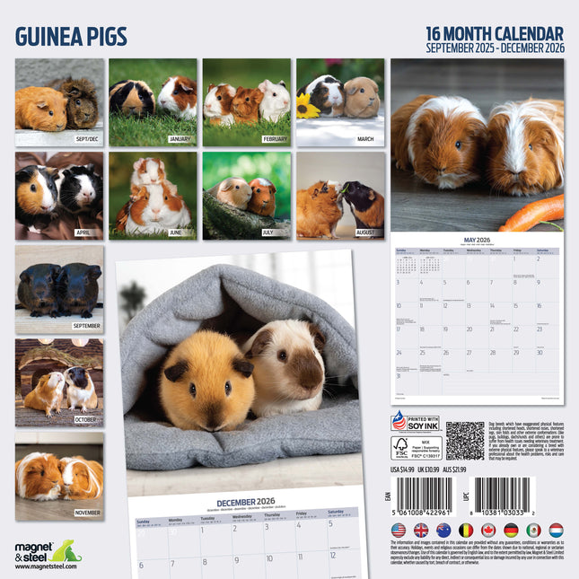Magnet & Steel Cavia Kalender 2026