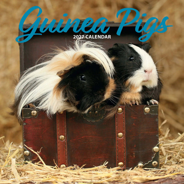 Magnet & Steel Cavia Kalender 2027