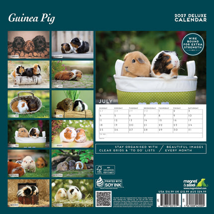 Magnet & Steel Cavia Kalender 2027 Deluxe