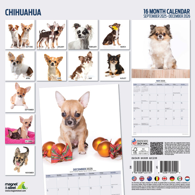 Magnet & Steel Chihuahua Modern Kalender 2026