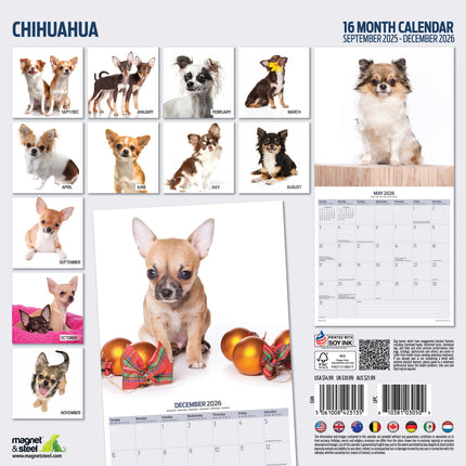 Magnet & Steel Chihuahua Modern Kalender 2027