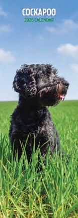 Magnet & Steel Cockapoo Kalender 2026 Slimline