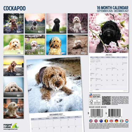 Magnet & Steel Cockapoo Kalender 2027