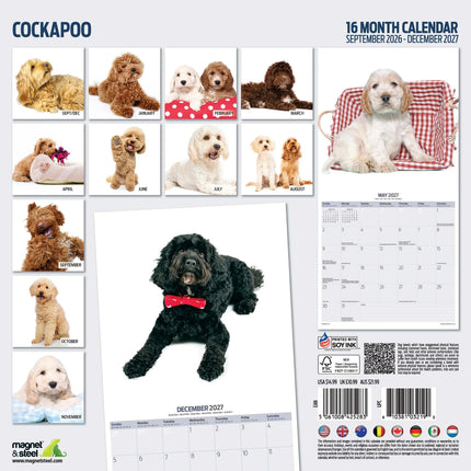 Magnet & Steel Cockapoo Modern Kalender 2026