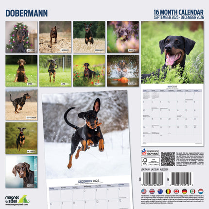 Magnet & Steel Dobermann Kalender 2027