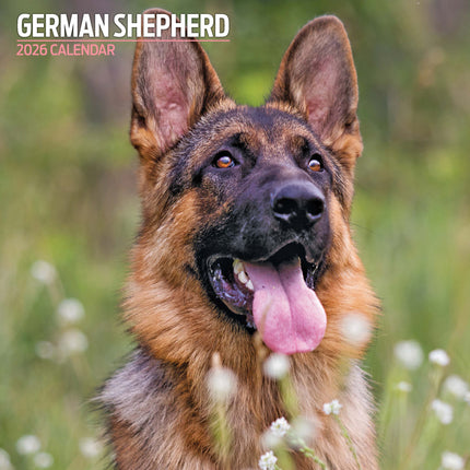 Magnet & Steel Duitse Herder Kalender 2026