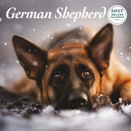 Magnet & Steel Duitse Herder Kalender 2027 Deluxe