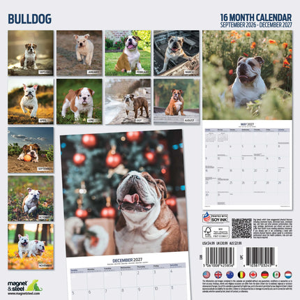 Magnet & Steel Engelse Bulldog Kalender 2027