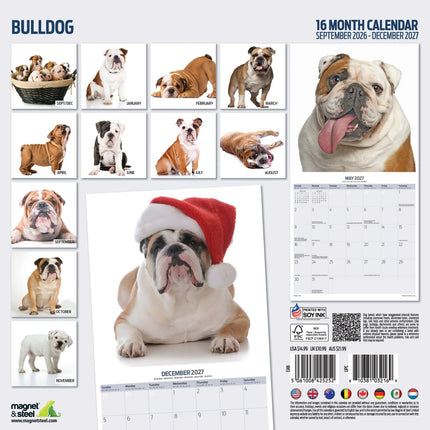 Magnet & Steel Engelse Bulldog Modern Kalender 2027