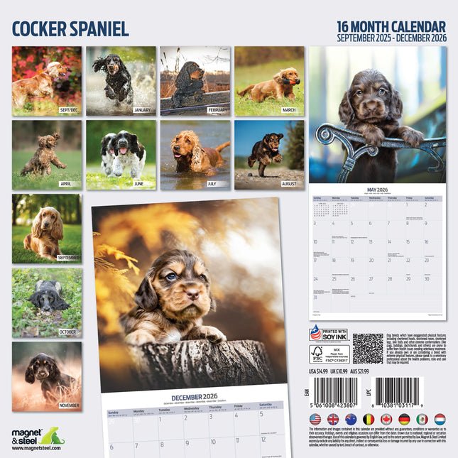 Magnet & Steel Engelse Cocker Spaniel Kalender 2026