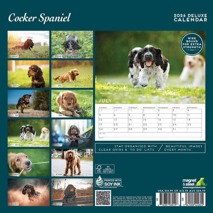 Magnet & Steel Engelse Cocker Spaniel Kalender 2027 Deluxe