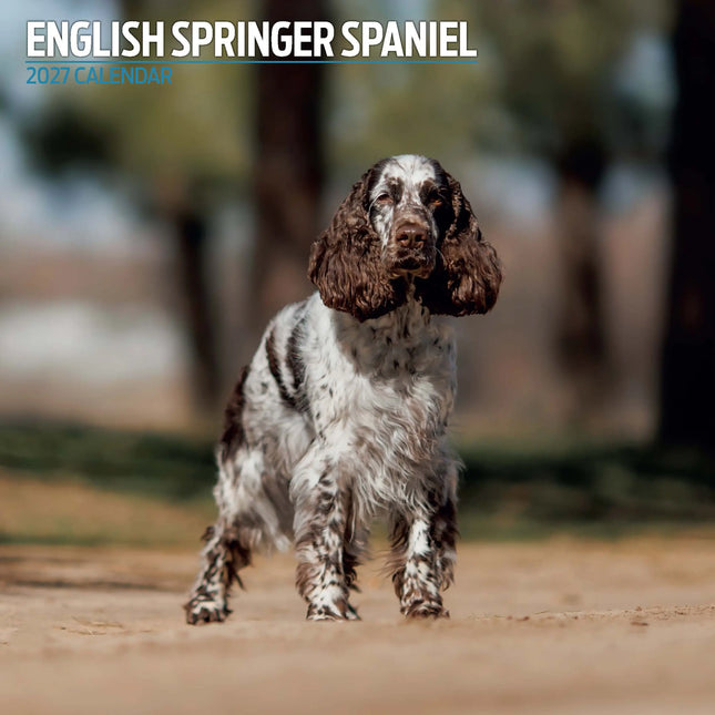 Magnet & Steel Engelse Springer Spaniel Kalender 2027