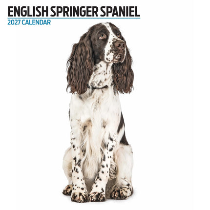 Magnet & Steel Engelse Springer Spaniel Modern Kalender 2027