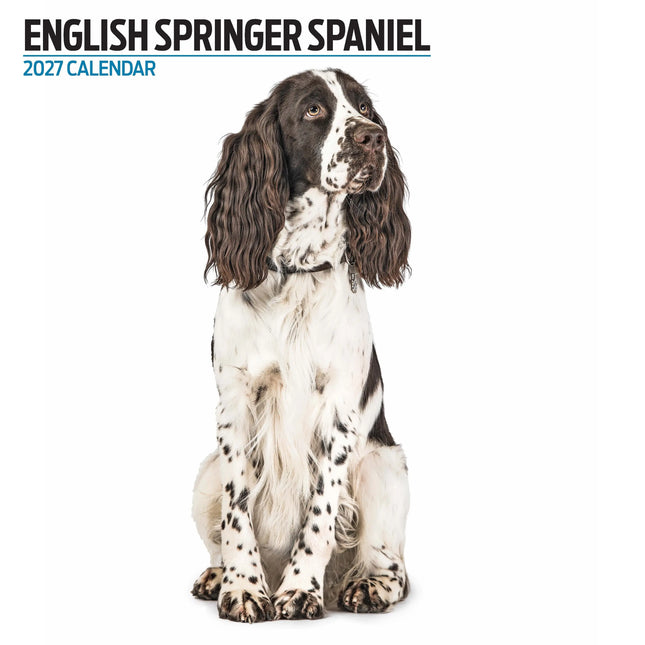 Magnet & Steel Engelse Springer Spaniel Modern Kalender 2027