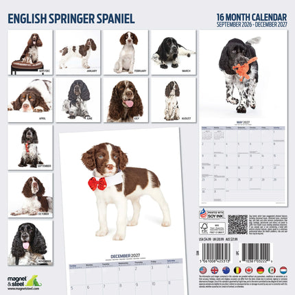 Magnet & Steel Engelse Springer Spaniel Modern Kalender 2027