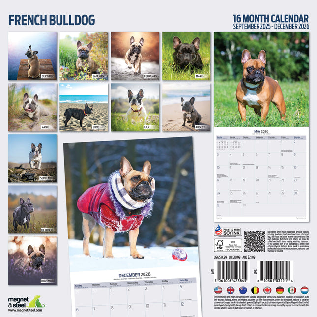 Magnet & Steel Franse Bulldog Kalender 2026