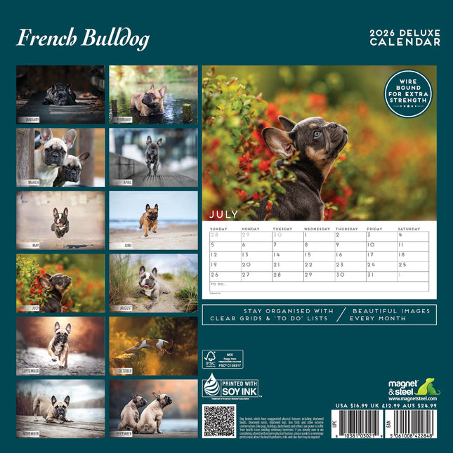 Magnet & Steel Franse Bulldog Kalender 2026 Deluxe