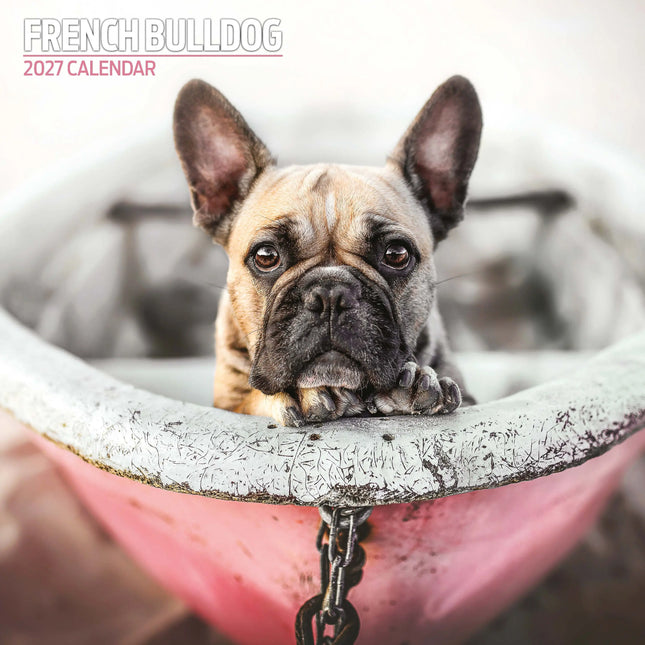 Magnet & Steel Franse Bulldog Kalender 2027