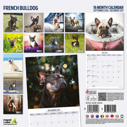 Magnet & Steel Franse Bulldog Kalender 2027