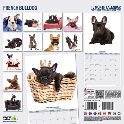 Magnet & Steel Franse Bulldog Modern Kalender 2027