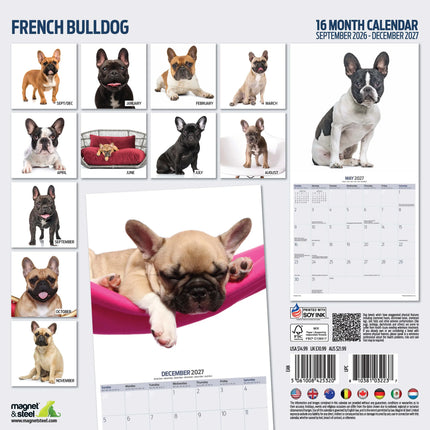 Magnet & Steel Franse Bulldog Modern Kalender 2027