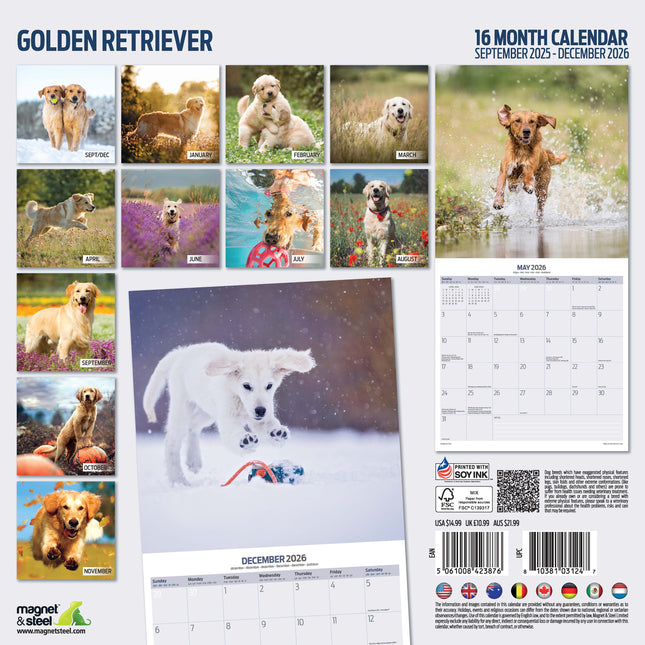 Magnet & Steel Golden Retriever Kalender 2026