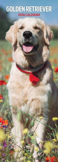 Magnet & Steel Golden Retriever Kalender 2026 Slimline