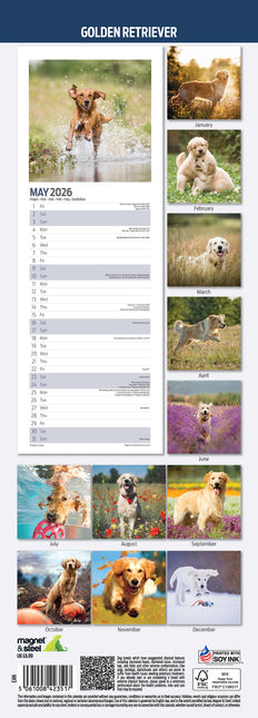 Magnet & Steel Golden Retriever Kalender 2026 Slimline