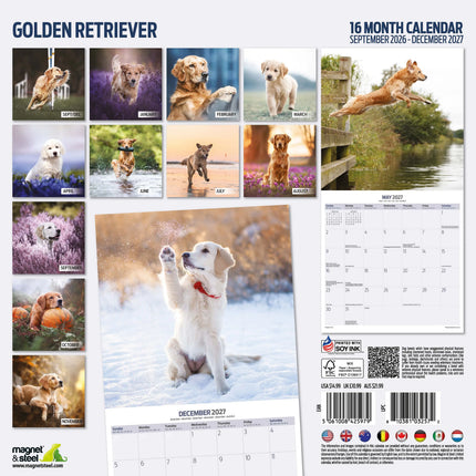 Magnet & Steel Golden Retriever Kalender 2027