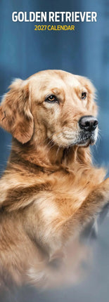 Magnet & Steel Golden Retriever Kalender 2027 Slimline