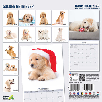 Magnet & Steel Golden Retriever Modern Kalender 2026