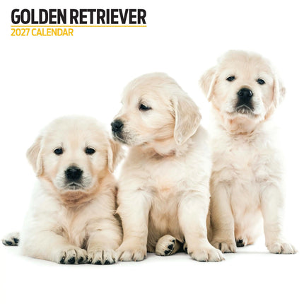 Magnet & Steel Golden Retriever Modern Kalender 2026