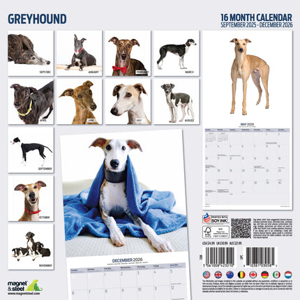 Magnet & Steel Greyhound Modern Kalender 2026