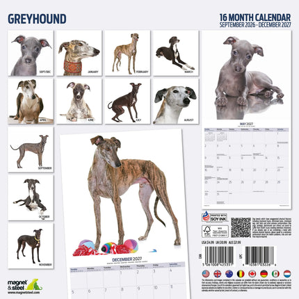 Magnet & Steel Greyhound Modern Kalender 2027