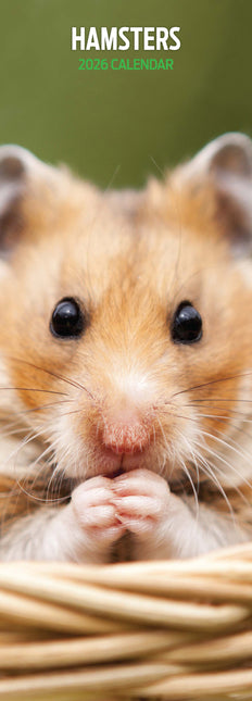 Magnet & Steel Hamster Kalender 2026 Slimline