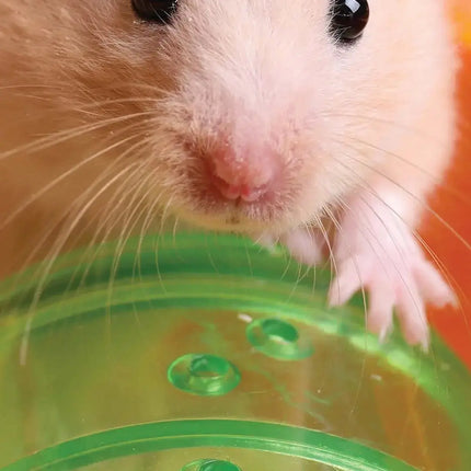 Magnet & Steel Hamster Kalender 2027 Slimline