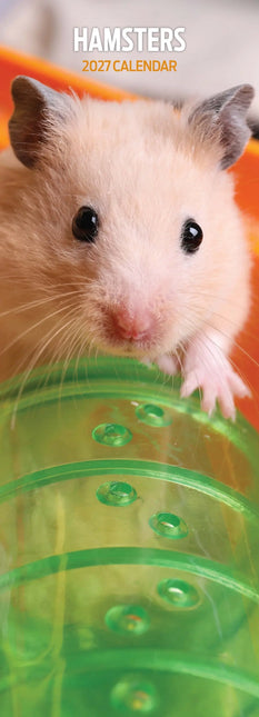 Magnet & Steel Hamster Kalender 2027 Slimline
