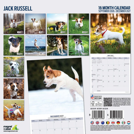 Magnet & Steel Jack Russell Terrier Kalender 2027