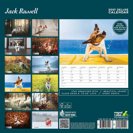 Magnet & Steel Jack Russell Terrier Kalender 2027 Deluxe
