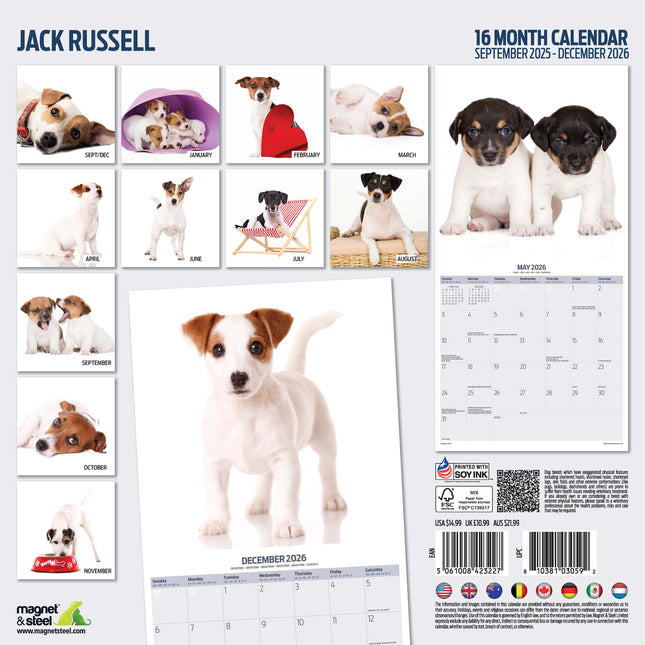 Magnet & Steel Jack Russell Terrier Modern Kalender 2026