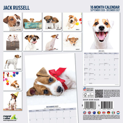 Magnet & Steel Jack Russell Terrier Modern Kalender 2027