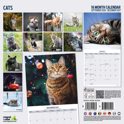 Magnet & Steel Katten Kalender 2027