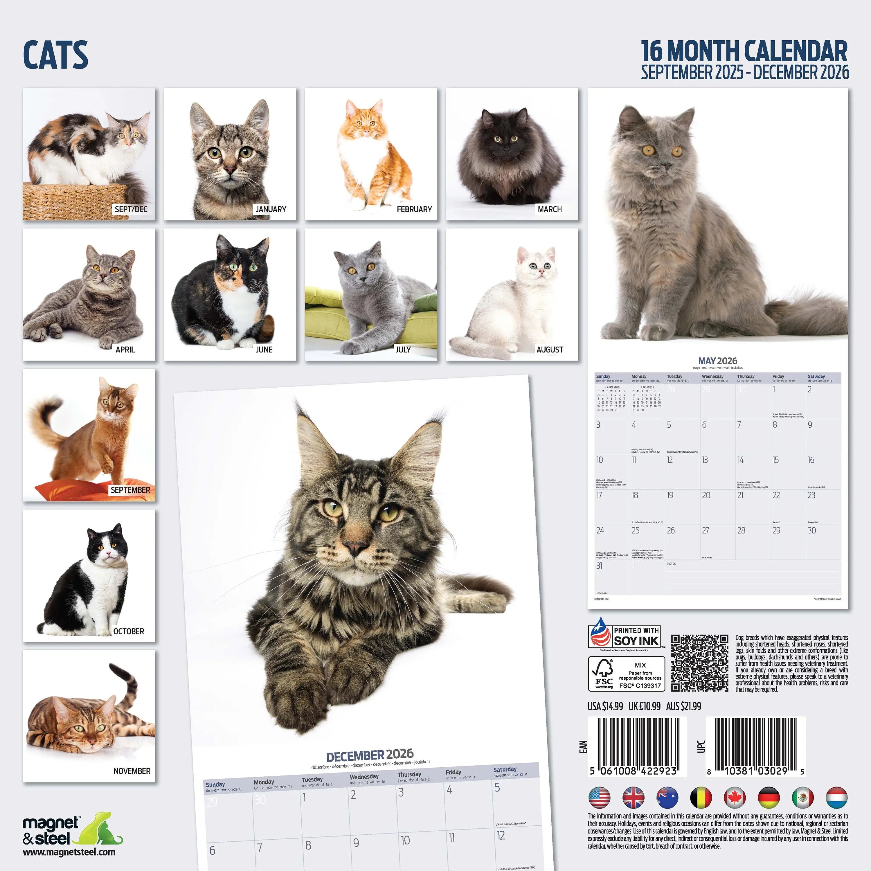 Presco Katten kalender 2026 - 12 maanden kattencharme aan je muur Presco Katten kalender 2026 - 12 maanden kattencharme aan je muur