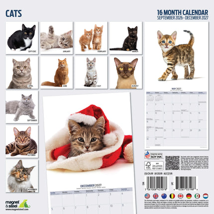 Magnet & Steel Katten Modern Kalender 2027