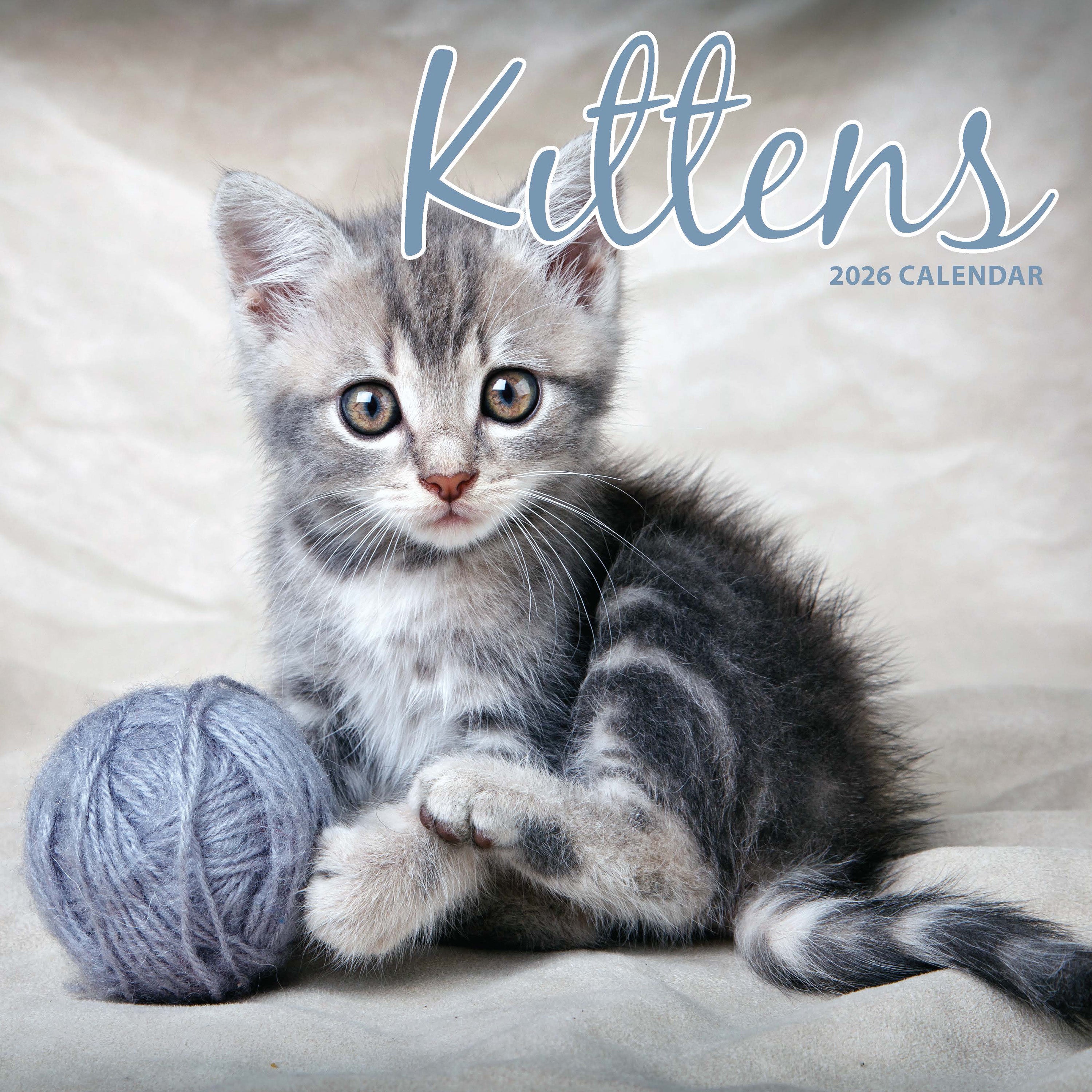 【期間限定！最安値挑戦】 Buying Kittens online order simply | 2026 Calendar タオル・ハンカチ